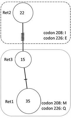 Extrapolating the susceptibility of Eld’s deer (Rucervus eldii thamin) to chronic wasting disease from prion protein gene (PRNP) polymorphisms